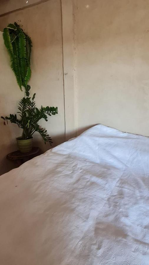 Surf & Turf Hotel Zacatecoluca Ngoại thất bức ảnh